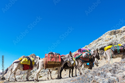 Caravan in Cordillera