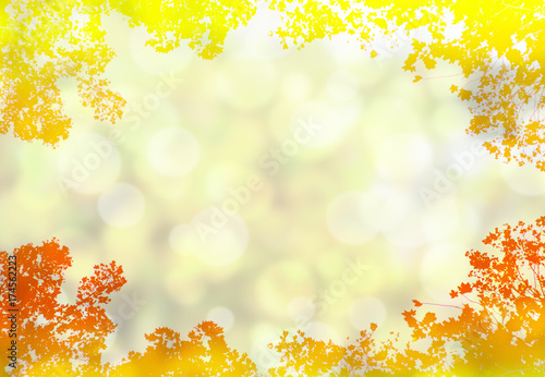 autumn flickering backgrounds framing with trees