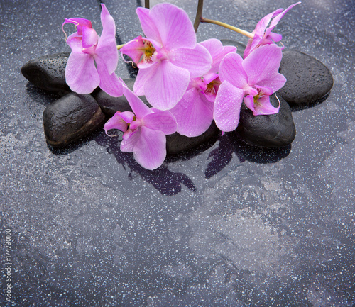 Spa stone with orchid flowers.