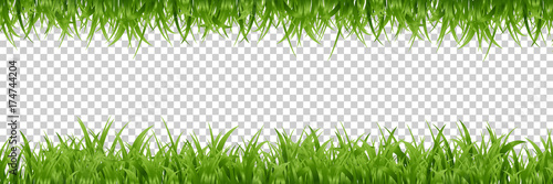Vector realistic isolated green grass borders for decoration and covering on the transparent background.