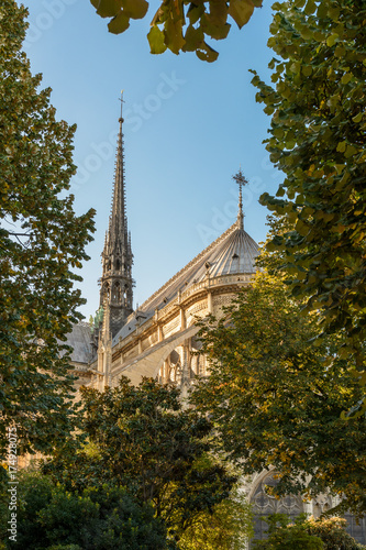 Rear view of Notre-Dame de Paris cathedral through the trees at sunset.