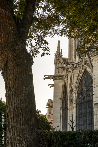 Detail view of the buttresses, pinnacles and gargoyles of the chancel of Notre-Dame de Paris cathedral at sunset.
