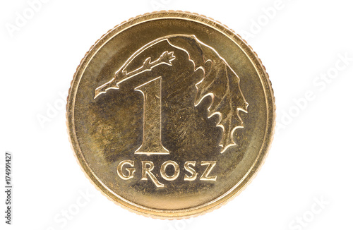 Closeup of 1 polish grosz coin