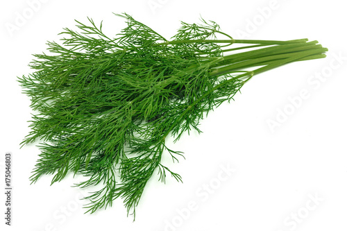 Dill