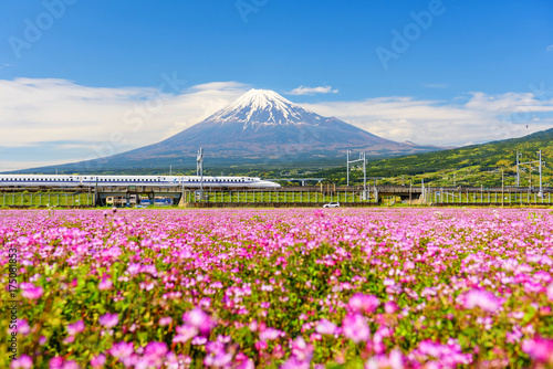 Shinkansen and car run through Mt. Fuji