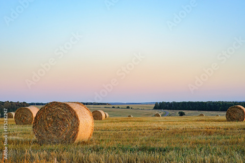 rolls of golden straw on the background of the iridescent sunset sky