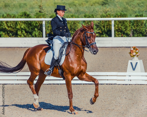 Young elegant rider woman and sorrel horse. Beautiful girl at advanced dressage test on equestrian competition. Professional female horse rider, equine theme. Saddle, bridle, boots and other details.