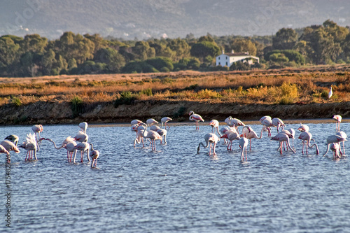 ria formosa