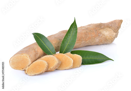  Eurycoma longifolia on white background.