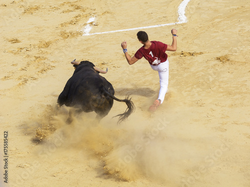 Competición de recortes con toros bravos en España. En esta competición la gente usa su propio cuerpo para torear
