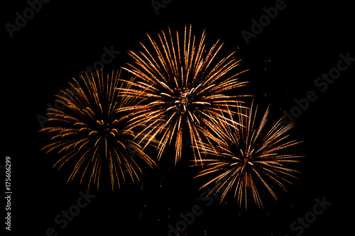 Nice colorful Fireworks in the black sky main color is red tone