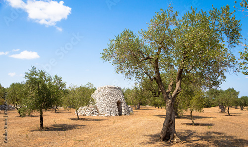 Puglia Region, Italy. Traditional warehouse made of stone