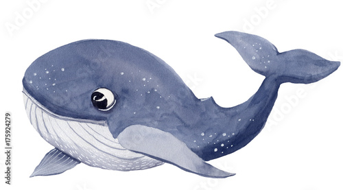 Watercolor christmas whale cartoon illustration