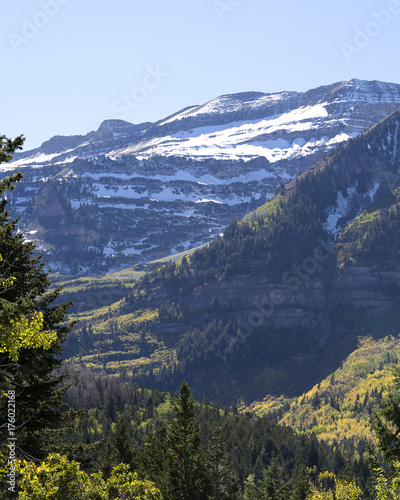 Changing Autumn Leaves in the Mountains of Northern Utah