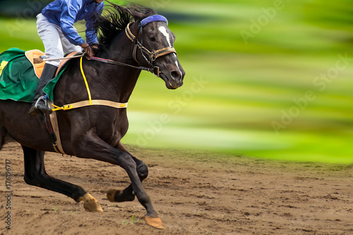 Race horse in run. A horse with a jockey runs along the racetrack track