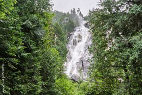 Shannon Falls near Squamish, BC, surrounded by trees.