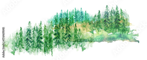 Watercolor group of trees - fir, pine, cedar, fir-tree. green forest, countryside landscape. Drawing on white isolated background.