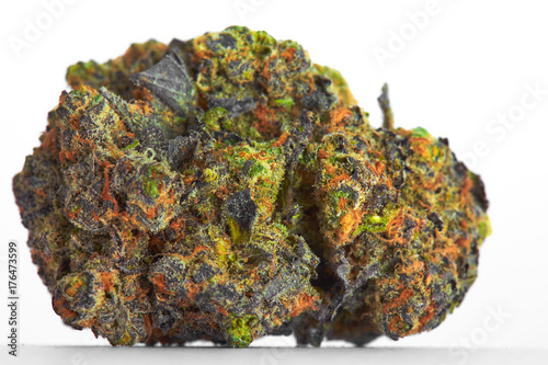 Close up of prescription medical marijuana strain flower Gelato isolated on white background