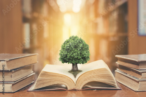 World philosophy day concept with tree of knowledge planting on opening old big book in library full with textbook, stack piles of text archive and blur aisle of bookshelves in school study class room