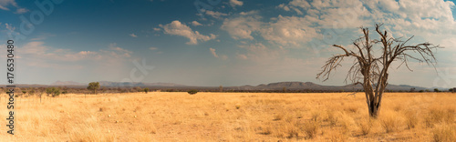 Landschaft im Ugab Tal bei Outjo, Kunene, Namibia, Panorama