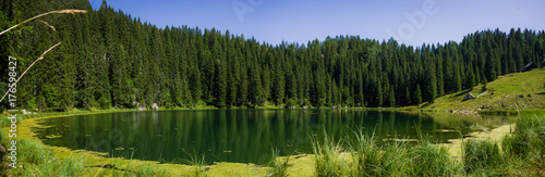 Panorama view of the green lake Planina pri jezeru surrounded with green grass and trees. Summer in Julian Alps, Bohinj, Slovenia, Europe.