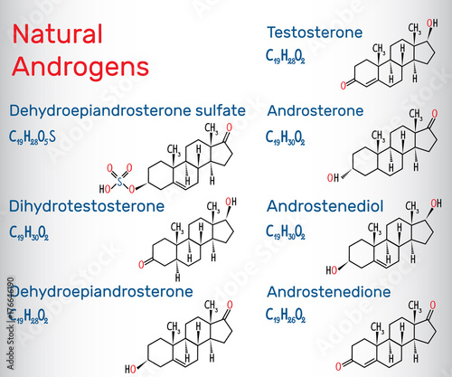 Natural androgens (steroid hormone) - structural chemical formula and molecule model