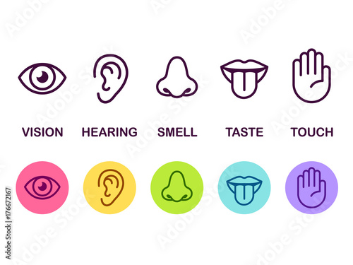 Senses icon set