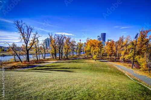 Calgary Skyline framed by fall colours