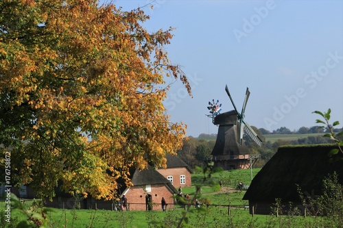 Freilichtmuseum mit historischer Holländer Windmühle im Herbst