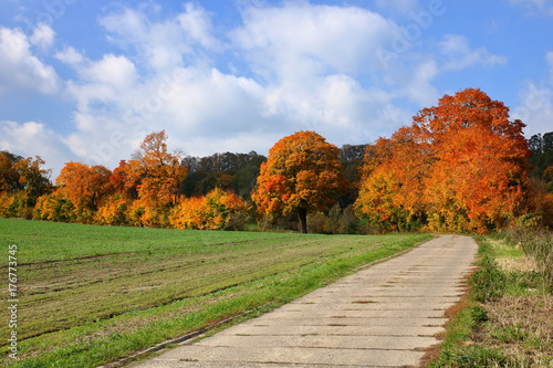 Jesienny pejzaż, Polska