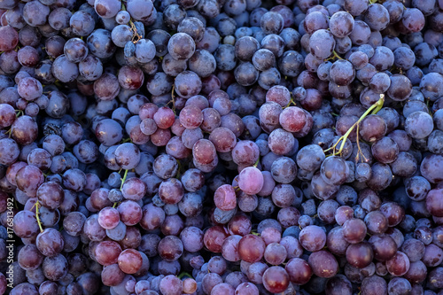 Piles of delicious fresh juicy seedless red grapes background in local city fruit market