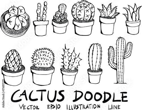 Hand drawn cactus isolated. Vector sketch black and white illustration icon doodle eps10