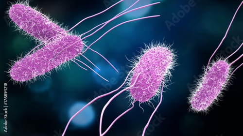 3D illustration of Salmonella Bacteria. Medicine concept.