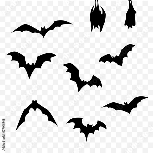 halloween bat set