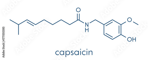 Capsaicin chili pepper molecule. Used in food, drugs, pepper spray, etc. Skeletal formula.