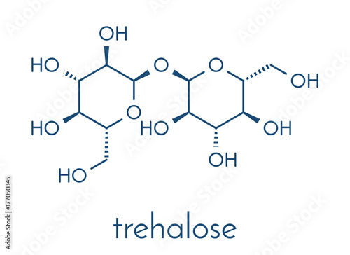 Trehalose (mycose, tremalose) sugar molecule. Skeletal formula.