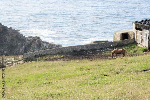 photographs of cantabria and Asturias showing their animal landscapes and architecture