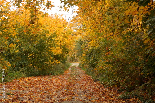 Jesienny krajobraz, Polska