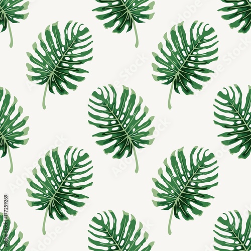 monstera deliciousa tropical leaf seamless pattern vector background illustration