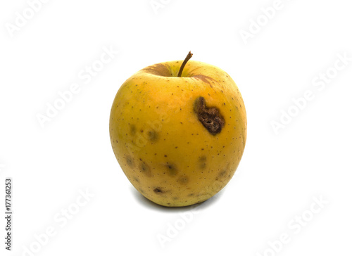 Rotten apple on white background