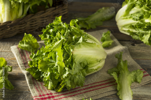 Raw Green Organic Escarole Lettuce