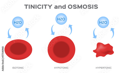 Tonicity and osmosis