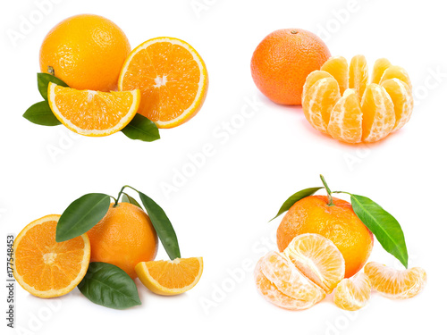 Citrus fruit. Orange