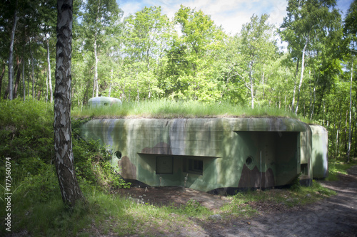 bunkier w lesie
