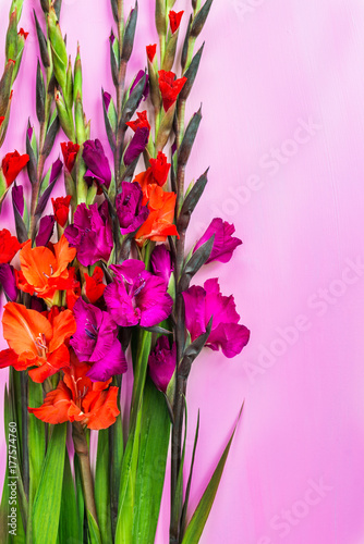 Bunch of beautiful gladiolus flowers