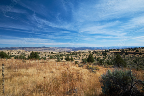 Central Oregon High Desert Landscape with Blue Sky, Grass and Sage Bush 