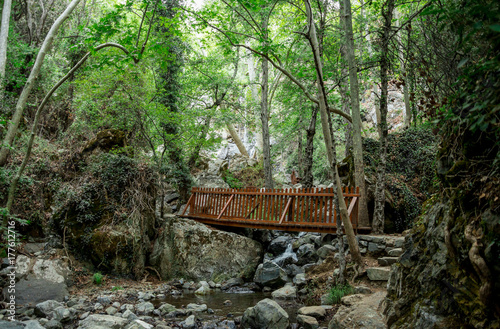 A small wooden bridge over a stream on a way to Caledonia waterfall near Platres, Cyprus