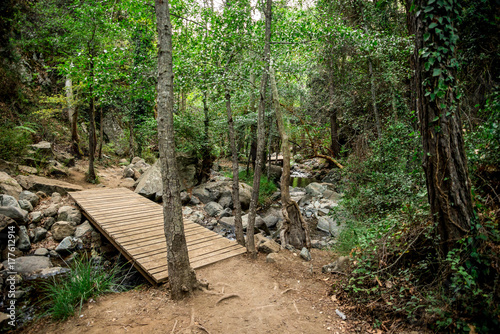 A wooden bridge over a small river on a way to Caledonia waterfall near Platres, Cyprus