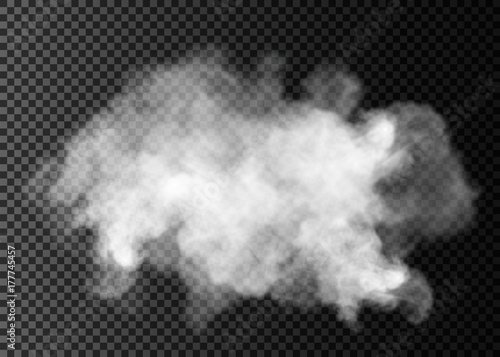 Fog or smoke isolated transparent special effect. White vector cloudiness, mist or smog background.