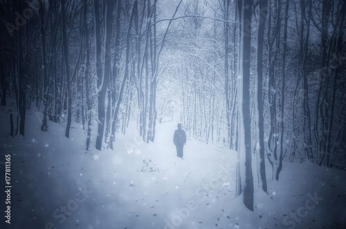 man in forest during snow storm, fantasy winter landscape